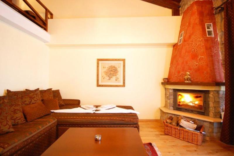 Vasilitsa Spa Resort Grevena Rum bild