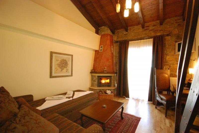 Vasilitsa Spa Resort Grevena Rum bild