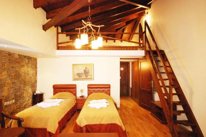 Vasilitsa Spa Resort Grevena Rum bild