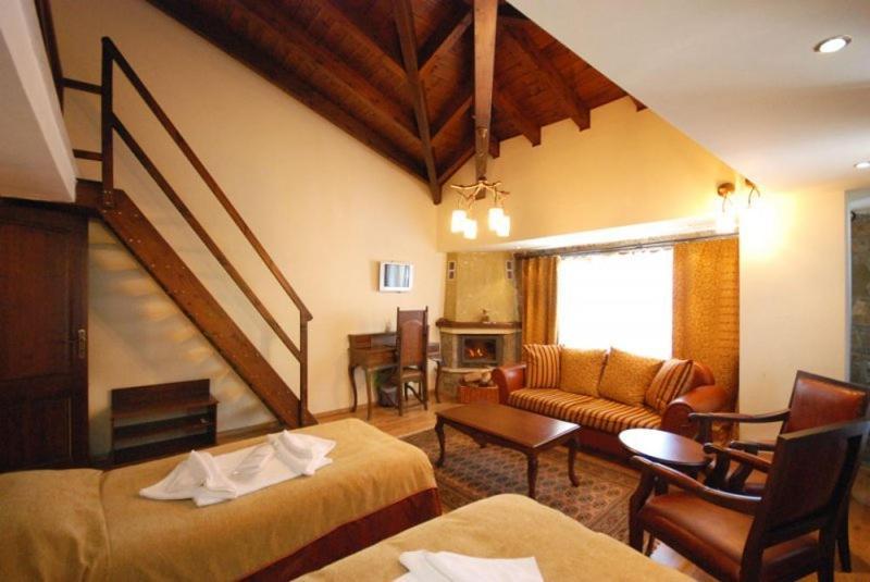 Vasilitsa Spa Resort Grevena Rum bild