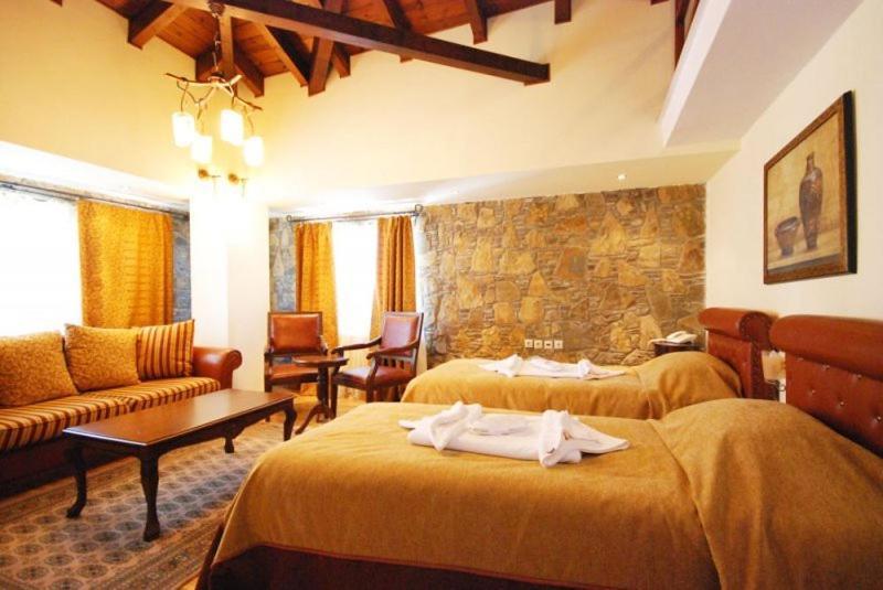 Vasilitsa Spa Resort Grevena Rum bild