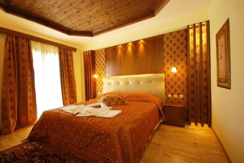 Vasilitsa Spa Resort Grevena Rum bild