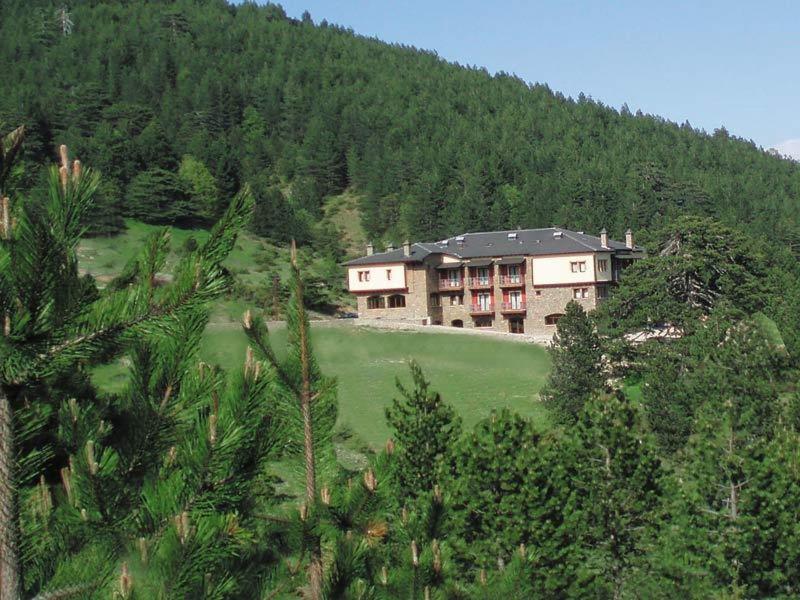 Vasilitsa Spa Resort Grevena Exteriör bild